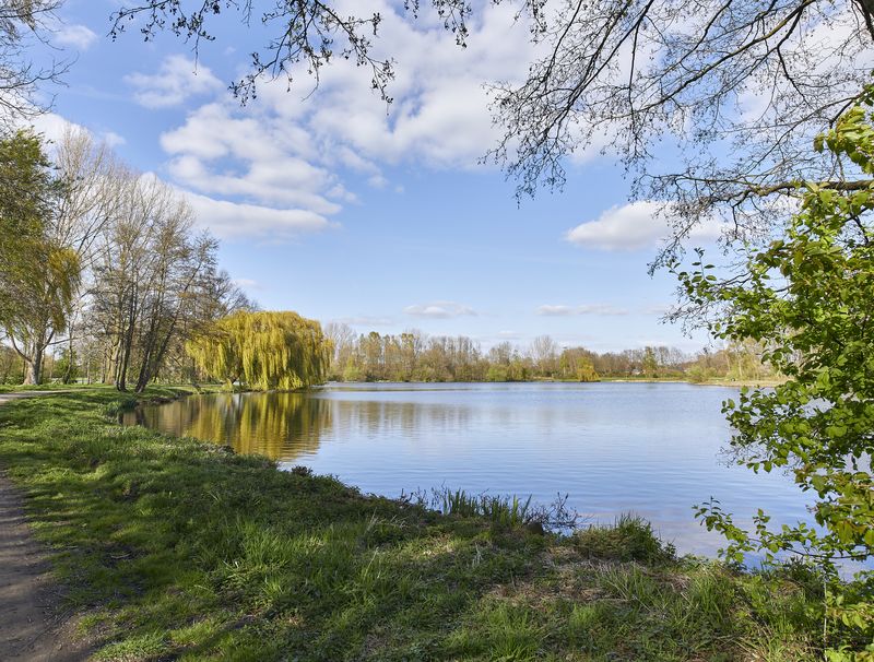 Spazierweg entlang des Berkelsee in Vreden