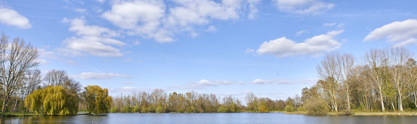 Steg am Berkelsee in Vreden