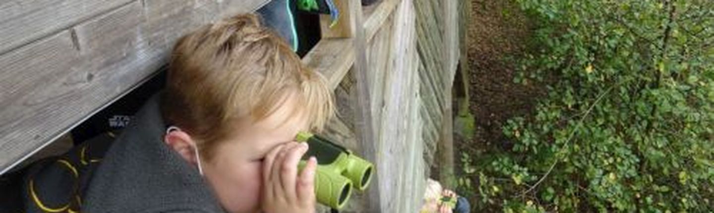 KInder schauen mit Ferngläsern aus einem Hochsitz
