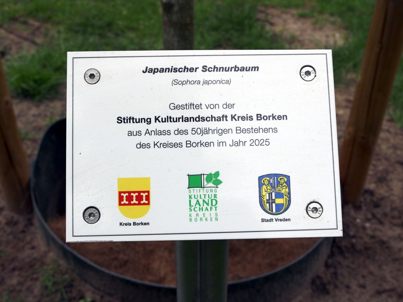 Kreis Borken 50 Jahre Baum Stadtpark Schild