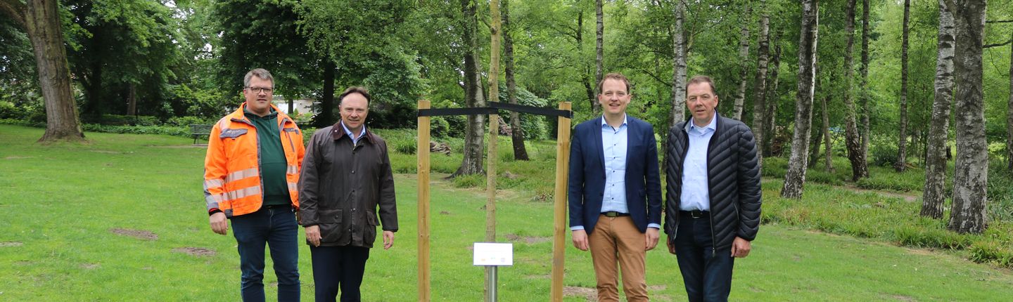 Kreis Borken 50 Jahre Baum Stadtpark