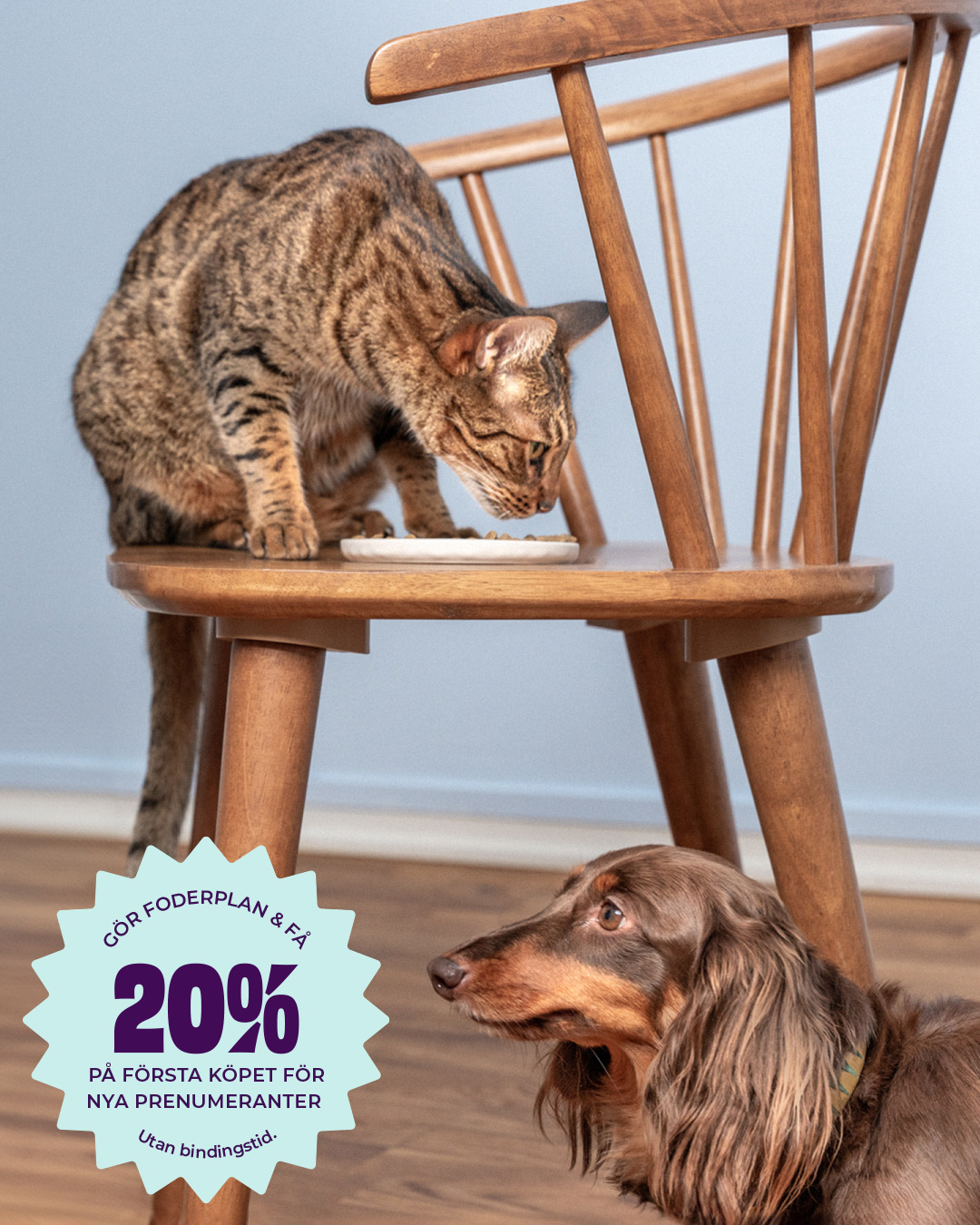 Petgood prenumeration