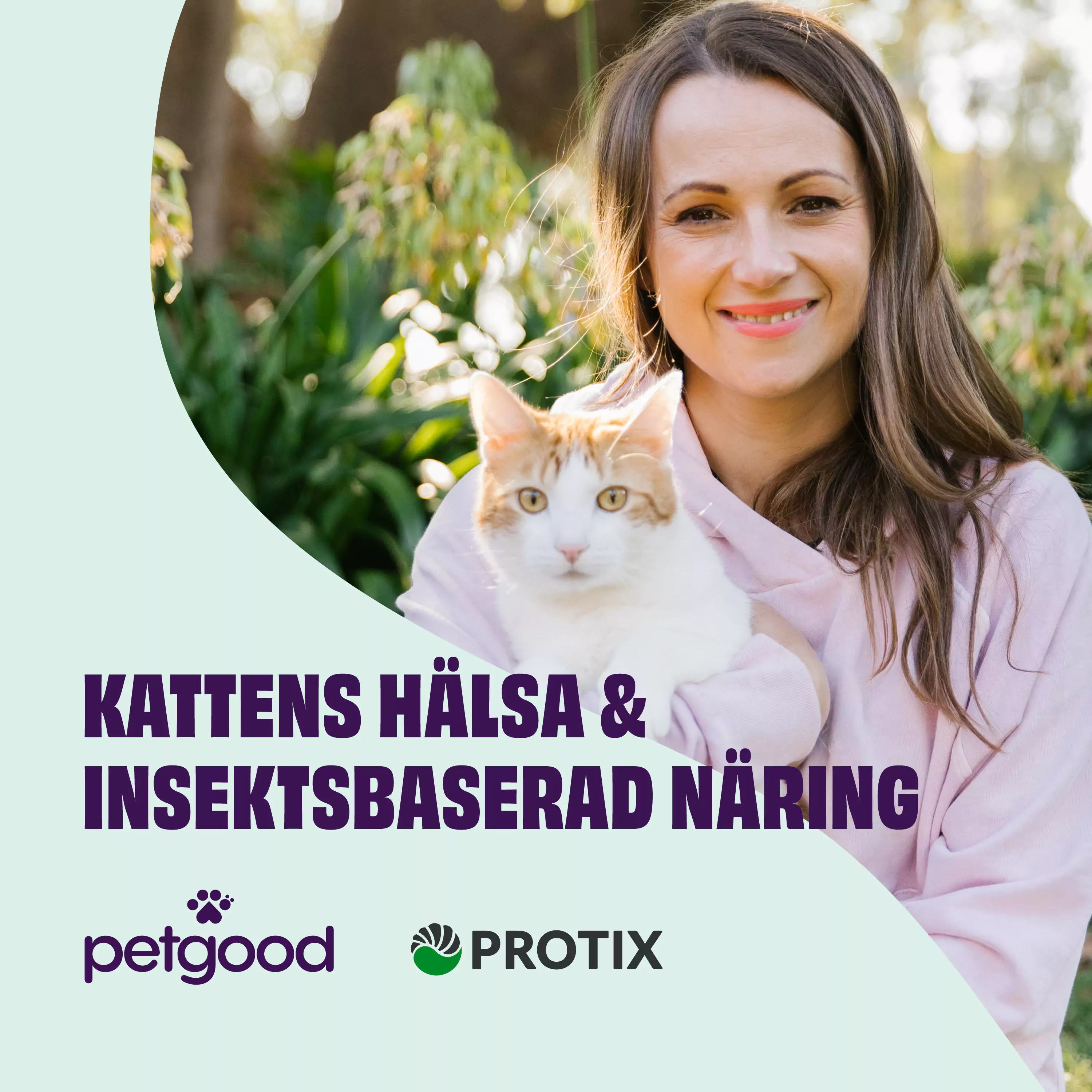 Studie på Petgoods kattfoder