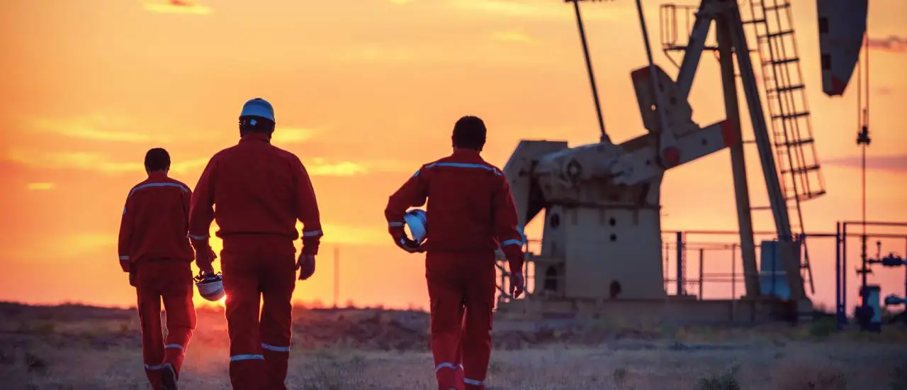 Lifting Gear Inspection (LEEA) Dexon Technology