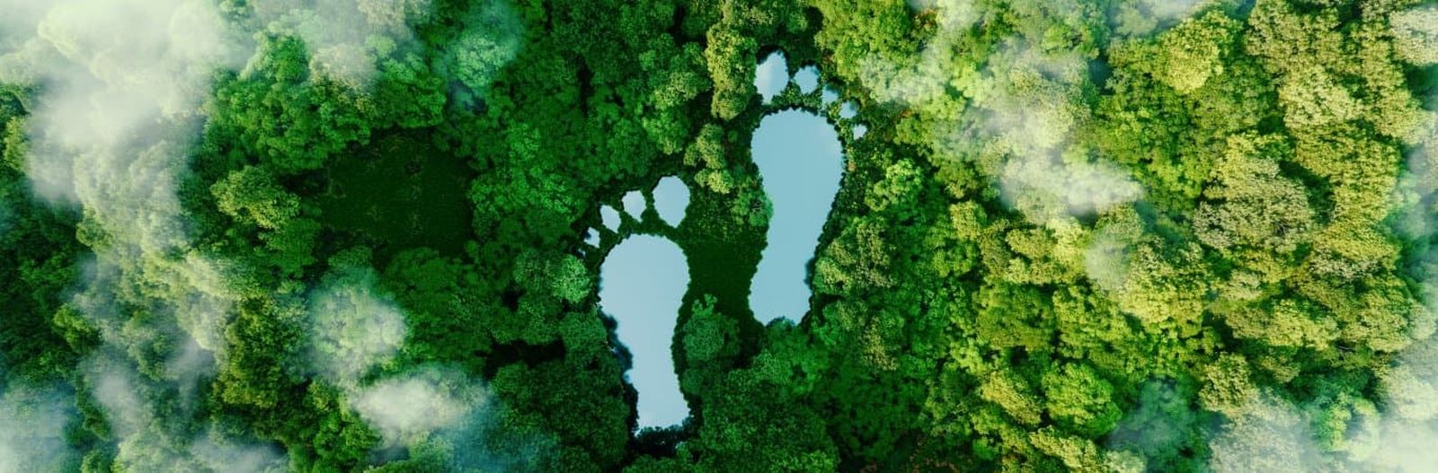 Summary Carbon Footprint