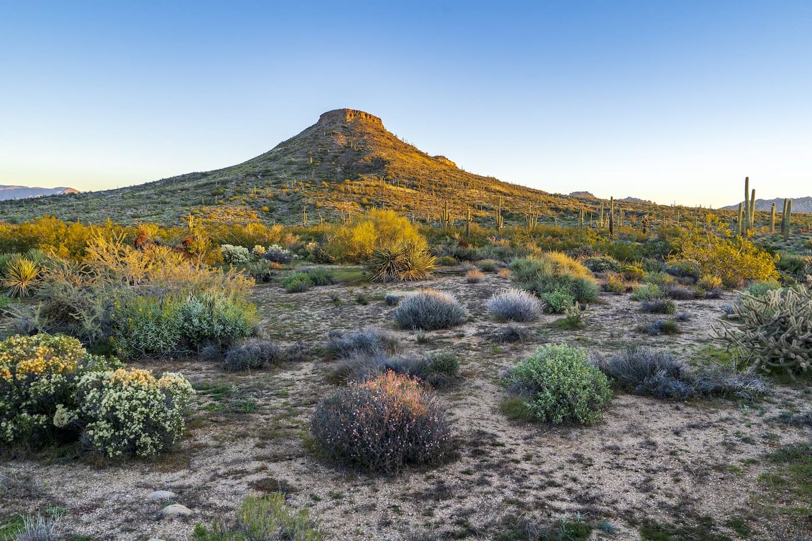 How One US Region Has Shaped the Past and Future of Oil
