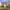 semi detached house