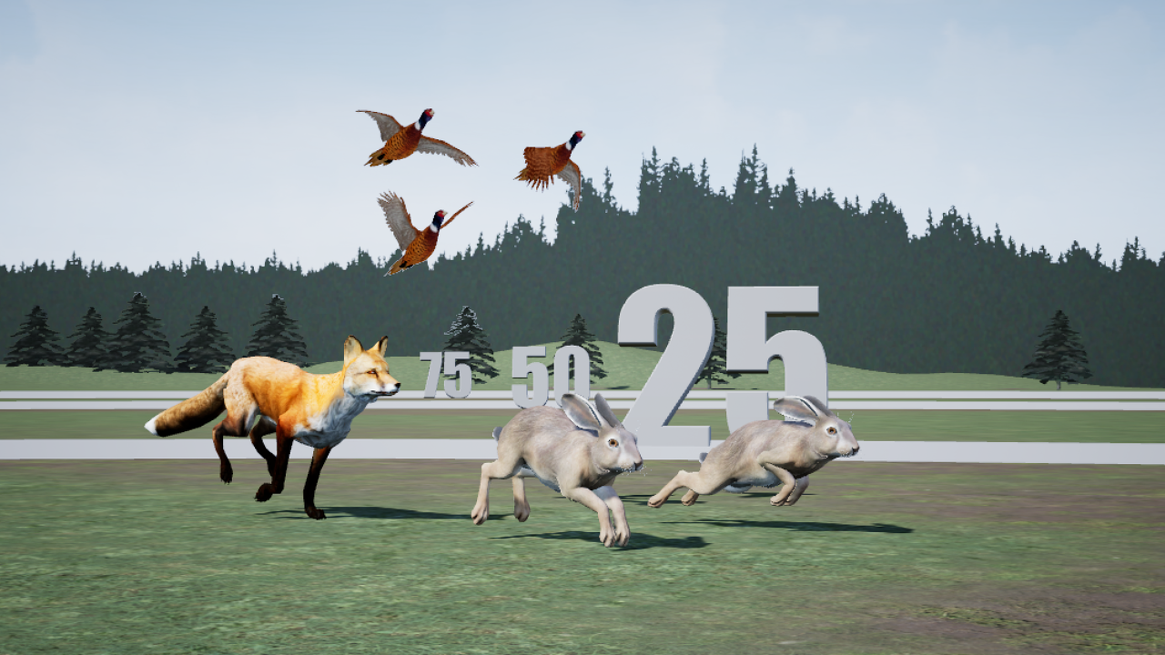 Hare, fox and pheasant in rough shooting