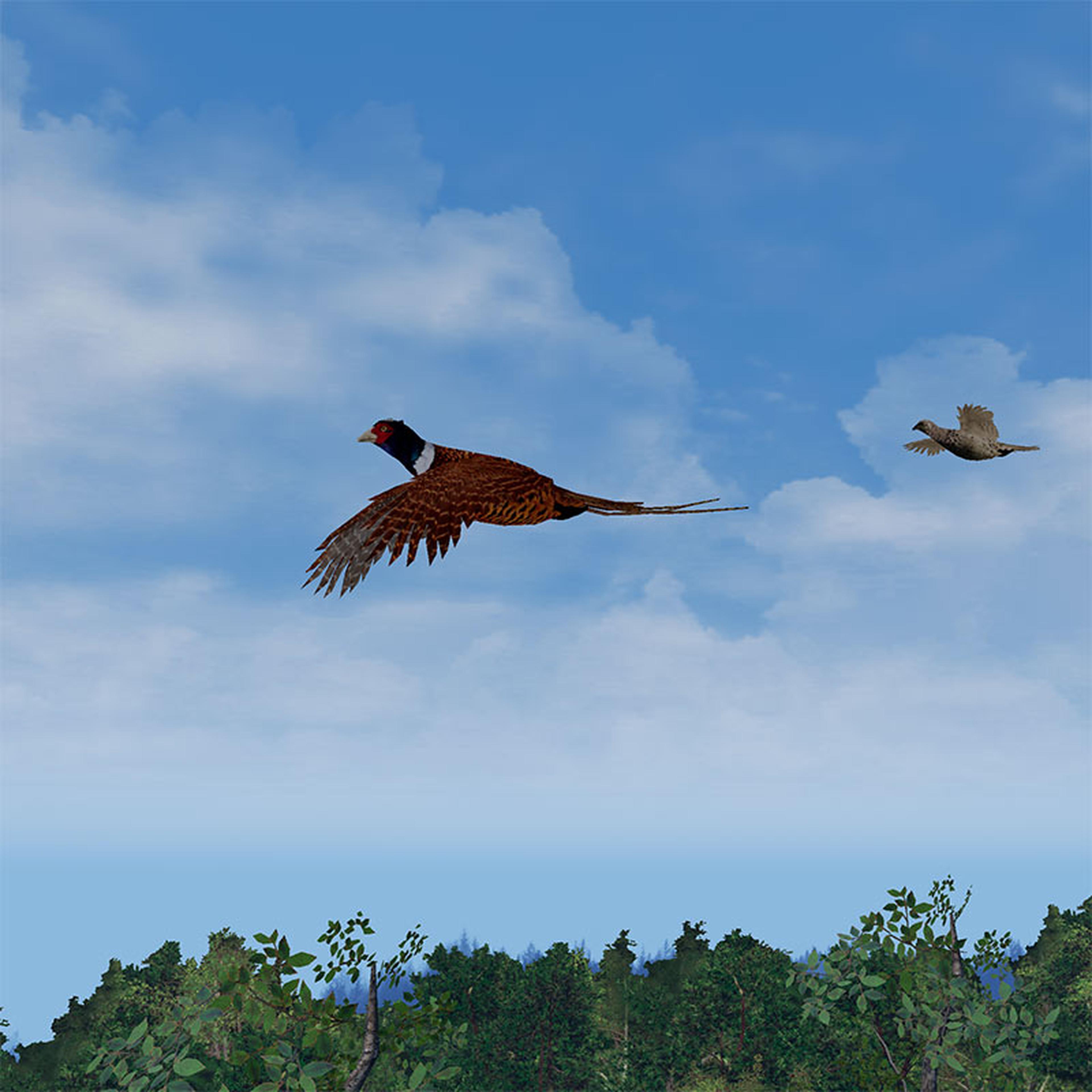 GAIM High Pheasants Scenario image