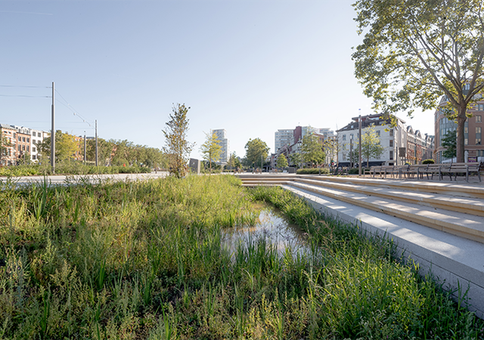 1. Installation of a wadi or infiltration basin