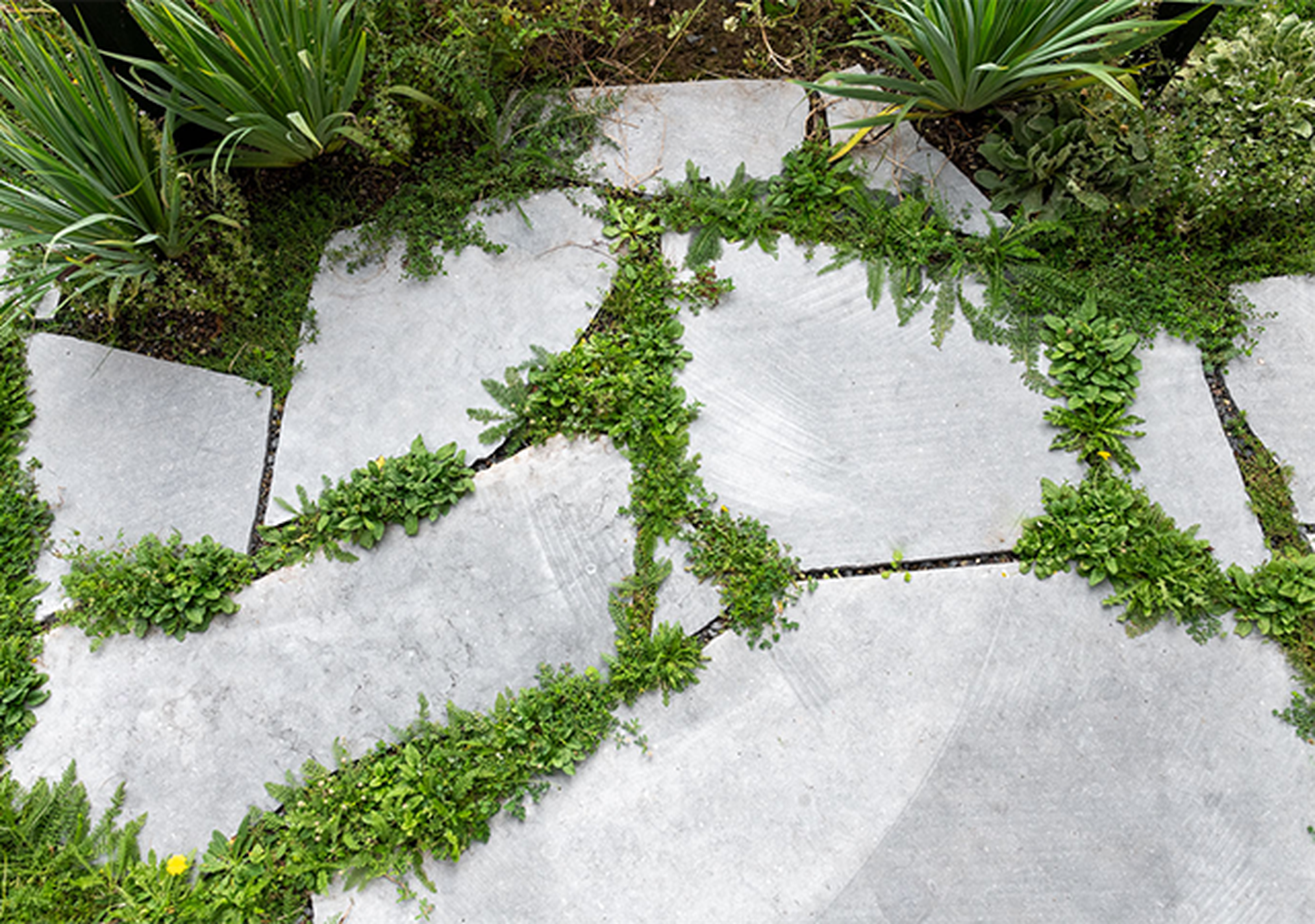Entdecken Sie unseren blauen Kilkenny Limestone