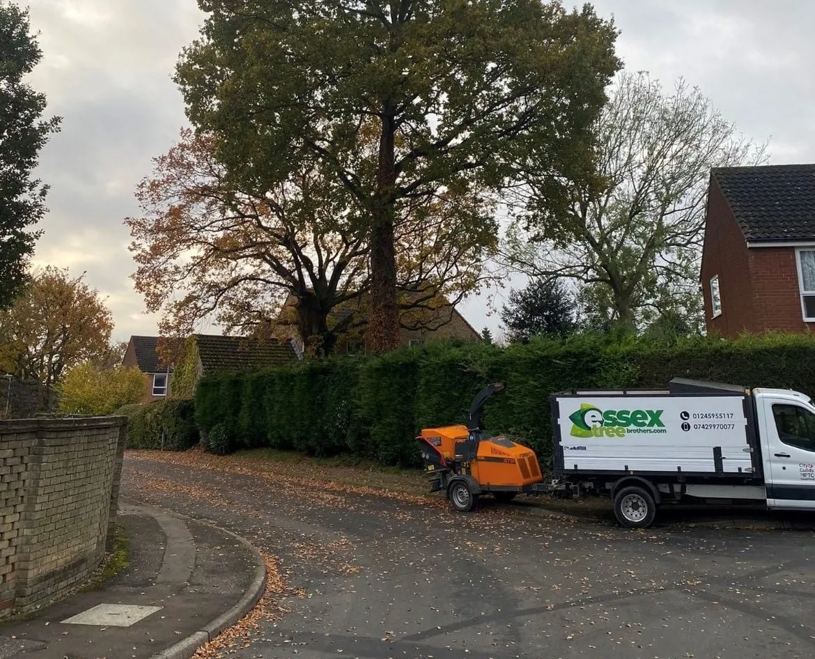 Essex Tree Brothers Partner Image