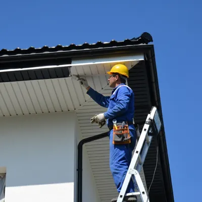 Fascia & Soffit Maintenance