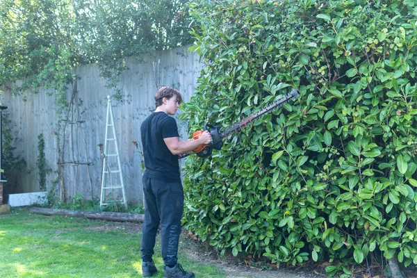Hedge Trimmer