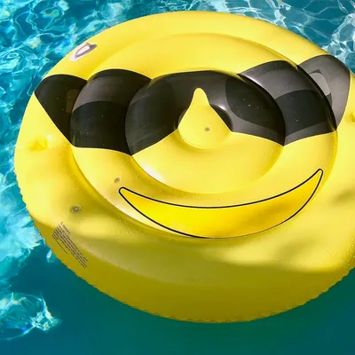 7 Crazy and Creative Uses For A Skip