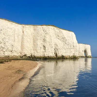 Tip Opening Times in Kent: Everything You Need to Know