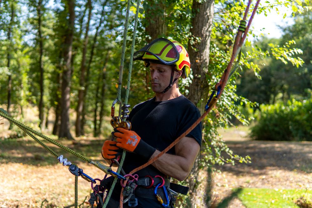 Tree Surgeon With Harness