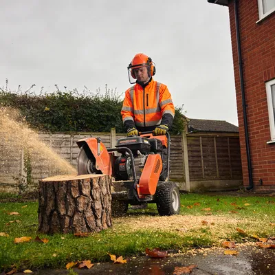 The Complete Guide to Stump Grinding and Removal