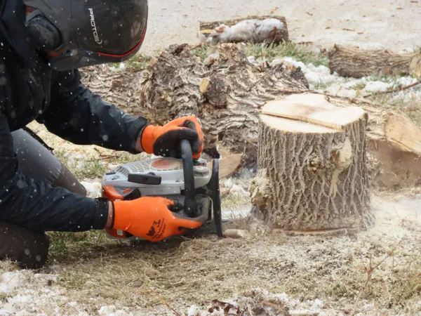 Guy With Chainsaw Cutting Stump