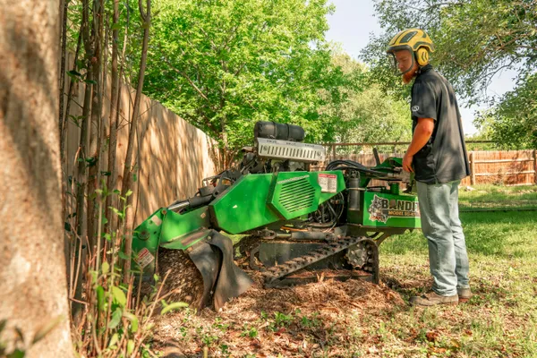 Tree Surgeon With Stump Grinder