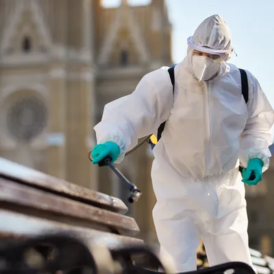 Professional General Pest Control Services