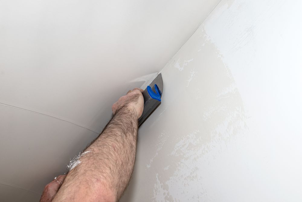 Skimming Decorative Ceiling Wall Plastering