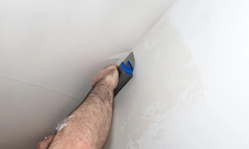 Skimming & Decorative Ceiling & Wall Plastering