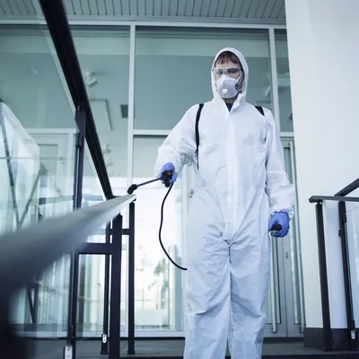 Why Professional Pest Control is Essential