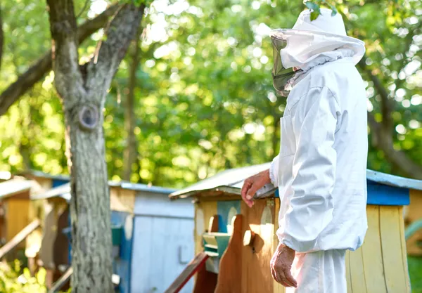 Beekeeping Suit