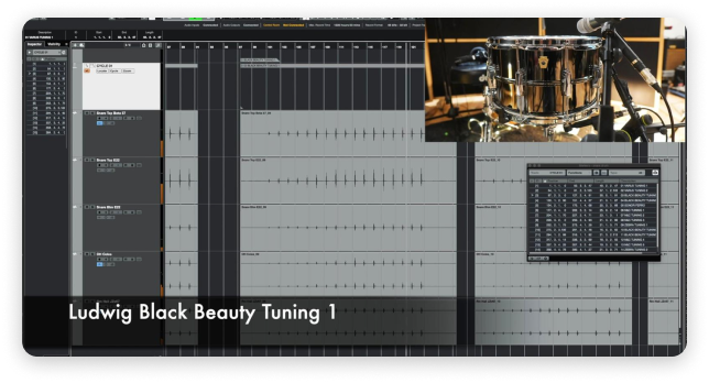 https://a.storyblok.com/f/237370/644x348/0449d5e79a/ludwig.png