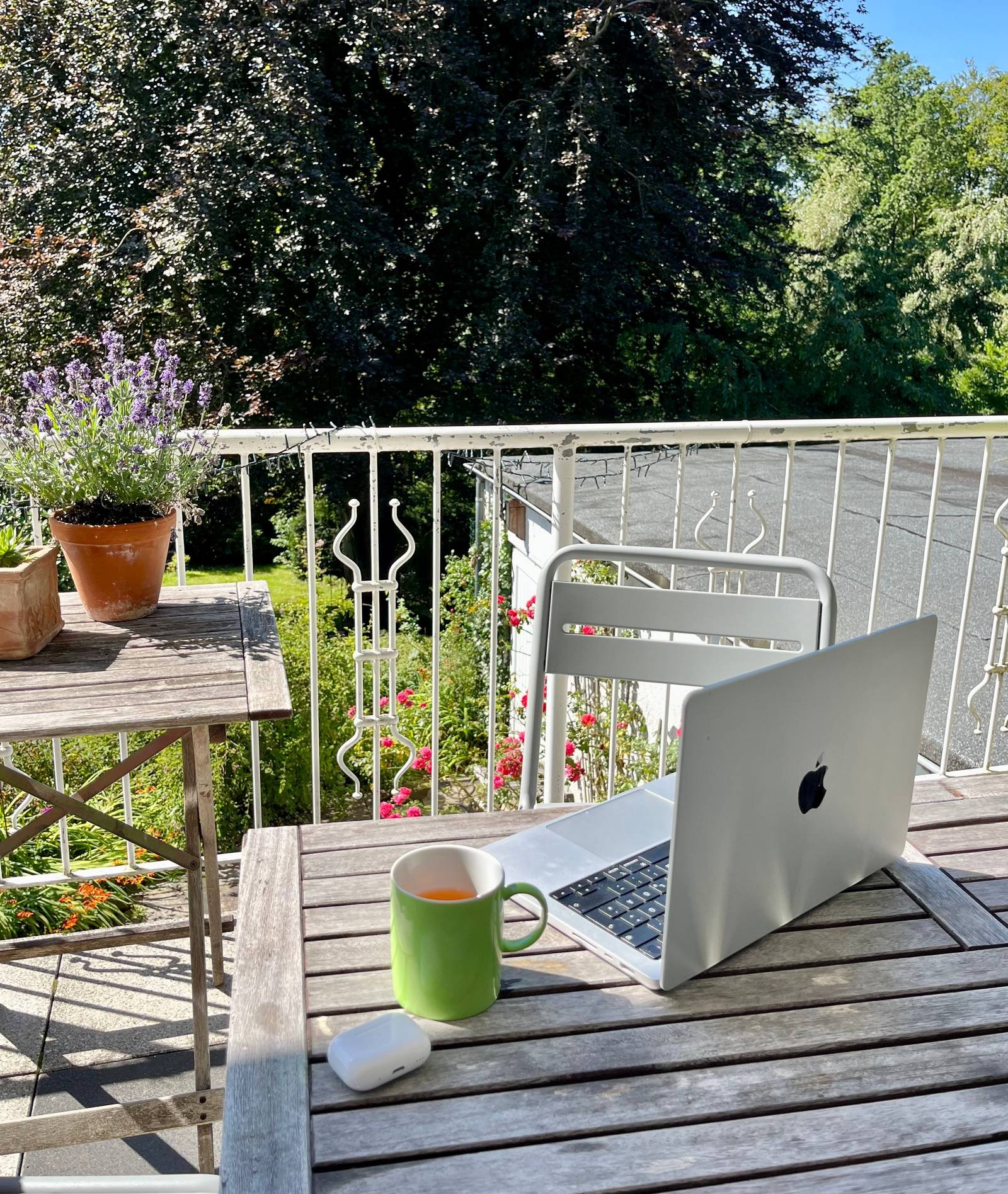 Laptop und Tasse auf Balkon, dahinter Pflanzen und großer Baum.