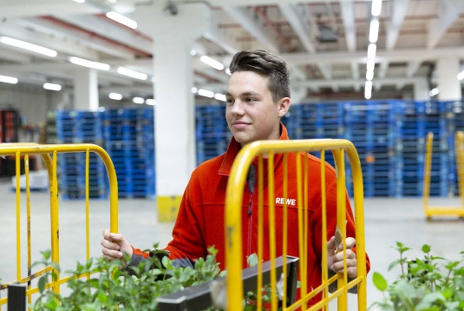 Angestellter im REWE-Logistikzentrum schiebt einen Wagen mit Kräutern, trägt rote Jacke.
