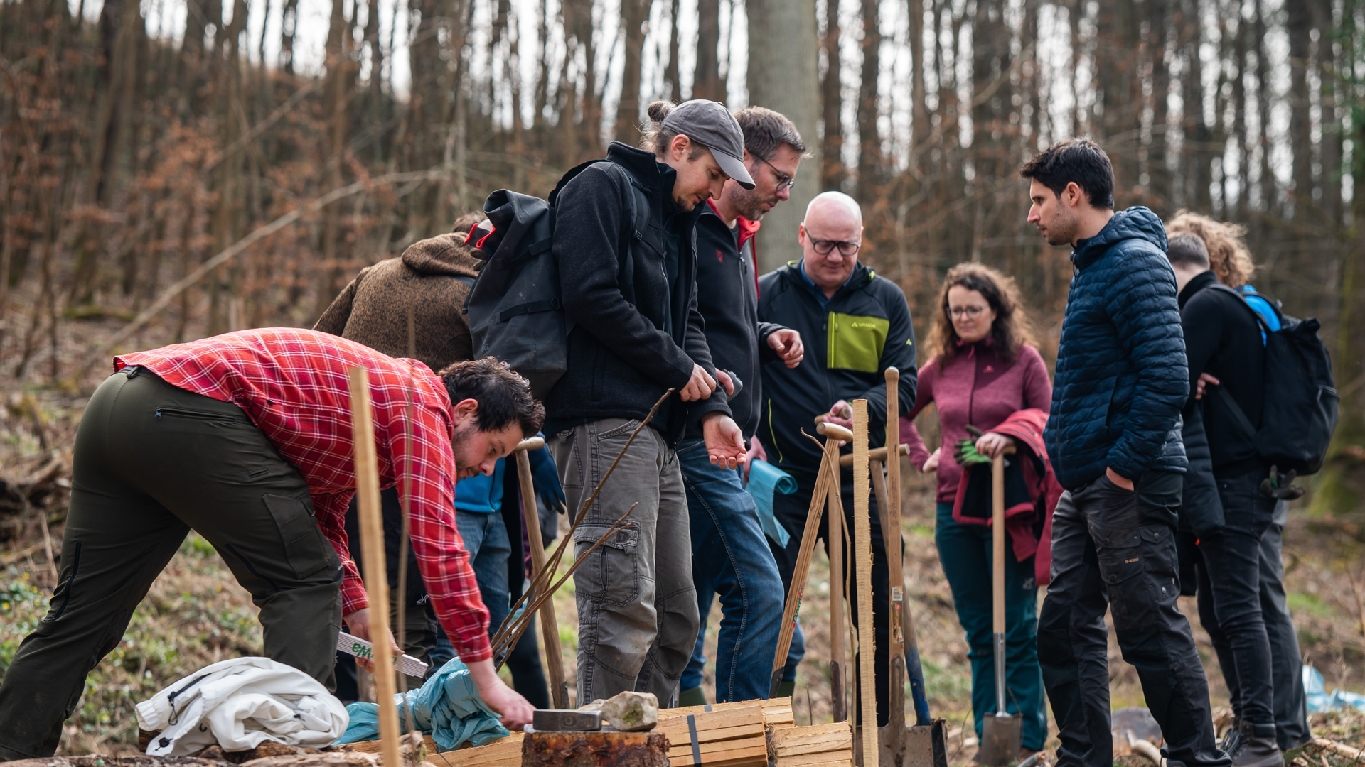 PIA UDG pflanzt gemeinsam mit Aktion Baum 2000 Bäume!