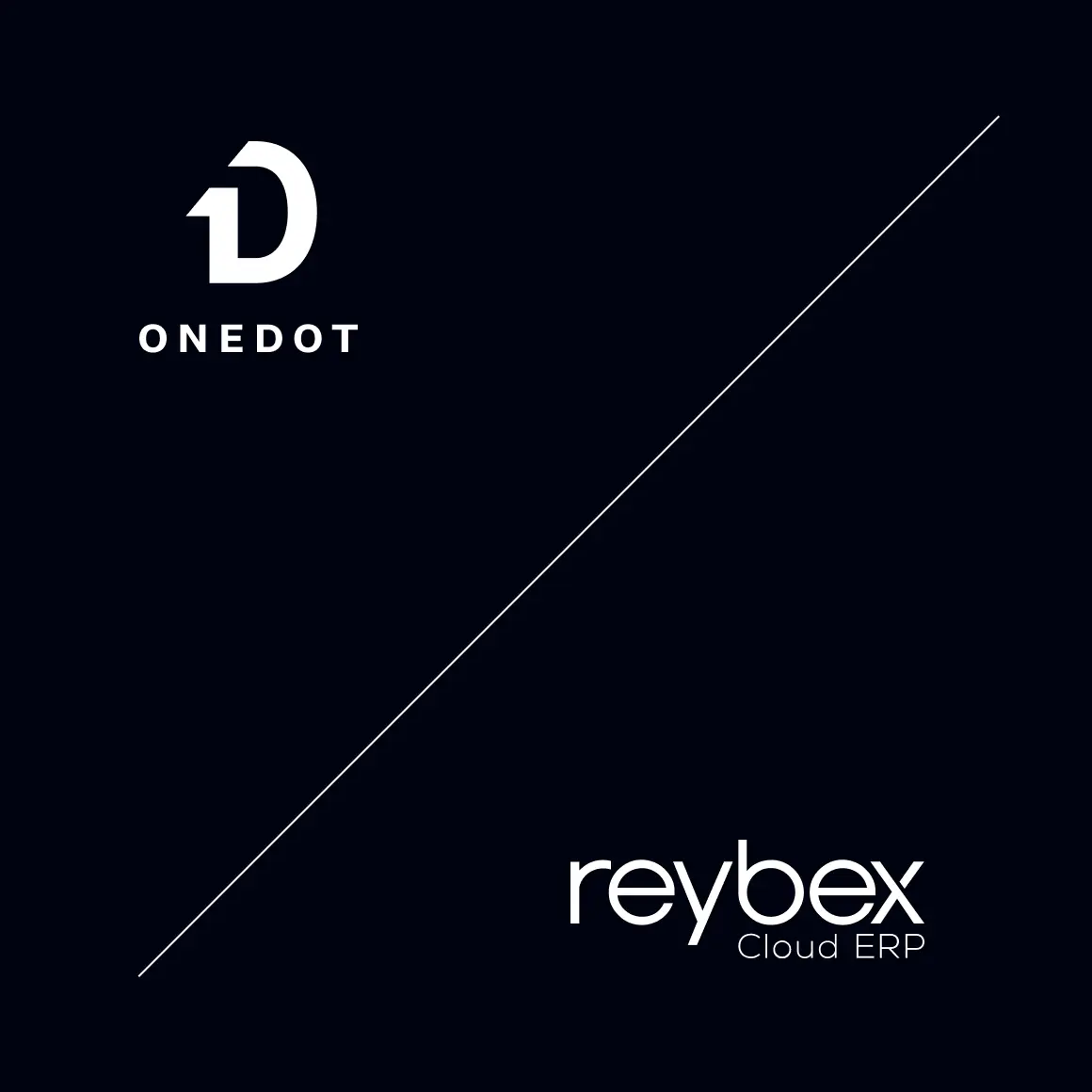 reybex erp system onedot partner