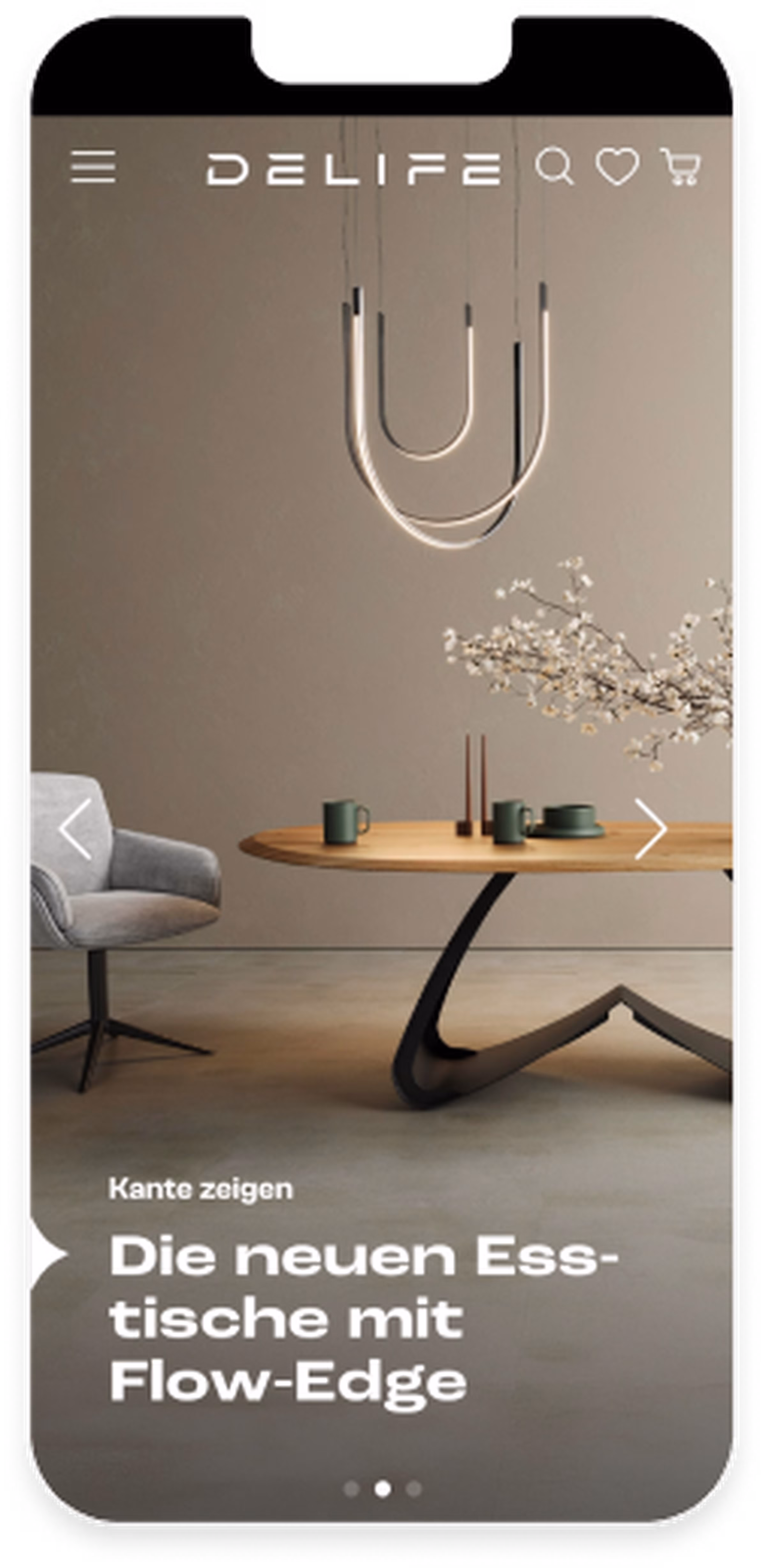 Mobile Mockup Delife