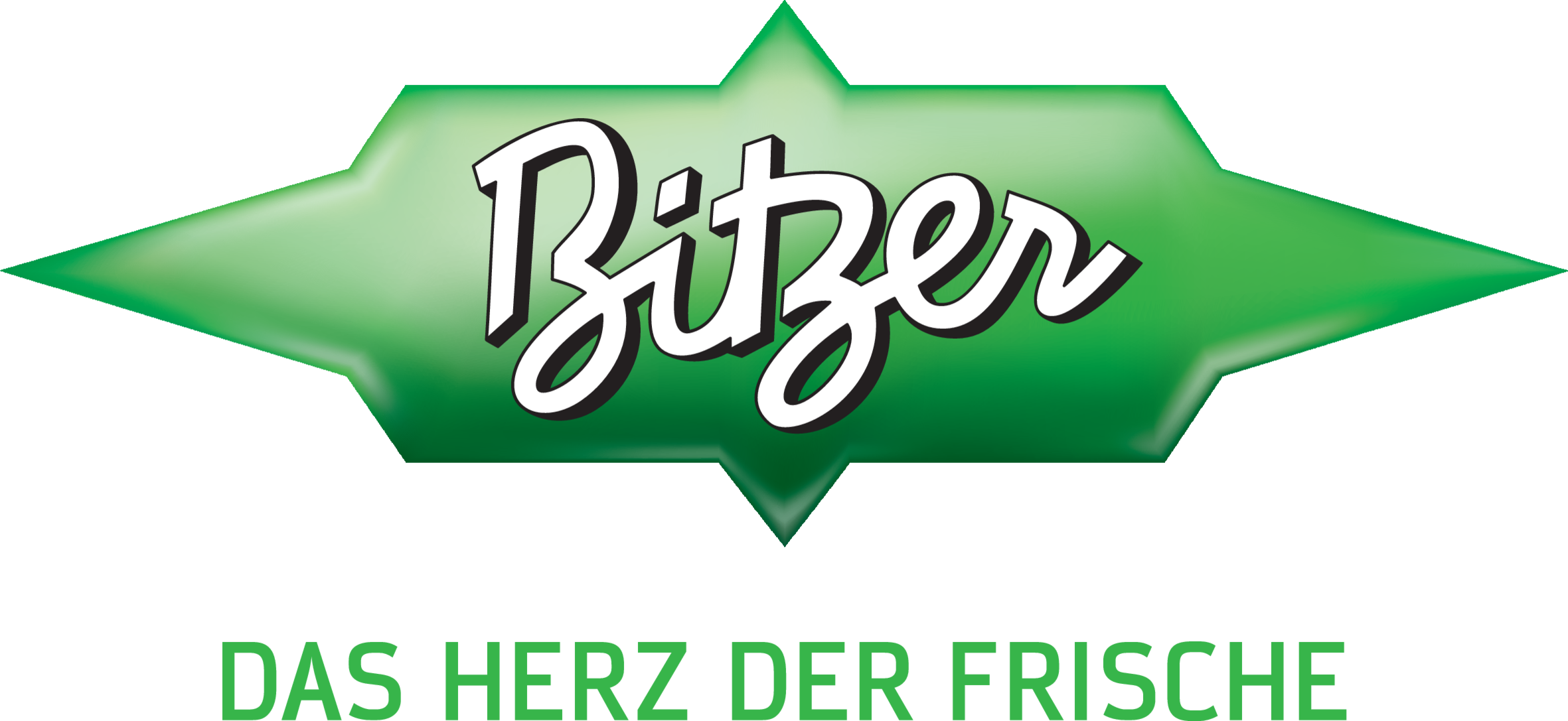 Bitzer GmbH Logo Logo Bitzer GmbH Logo