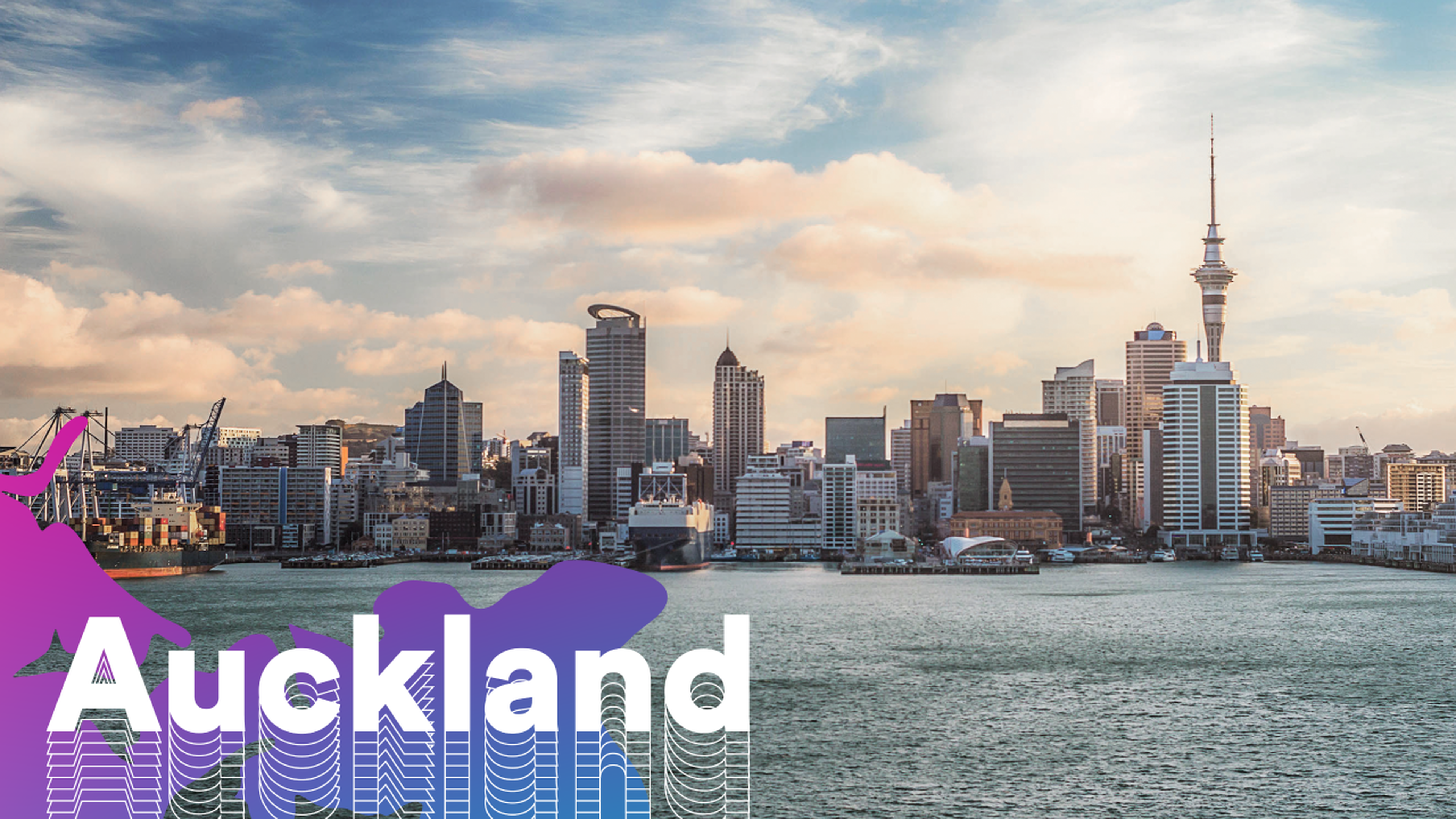 auckland video