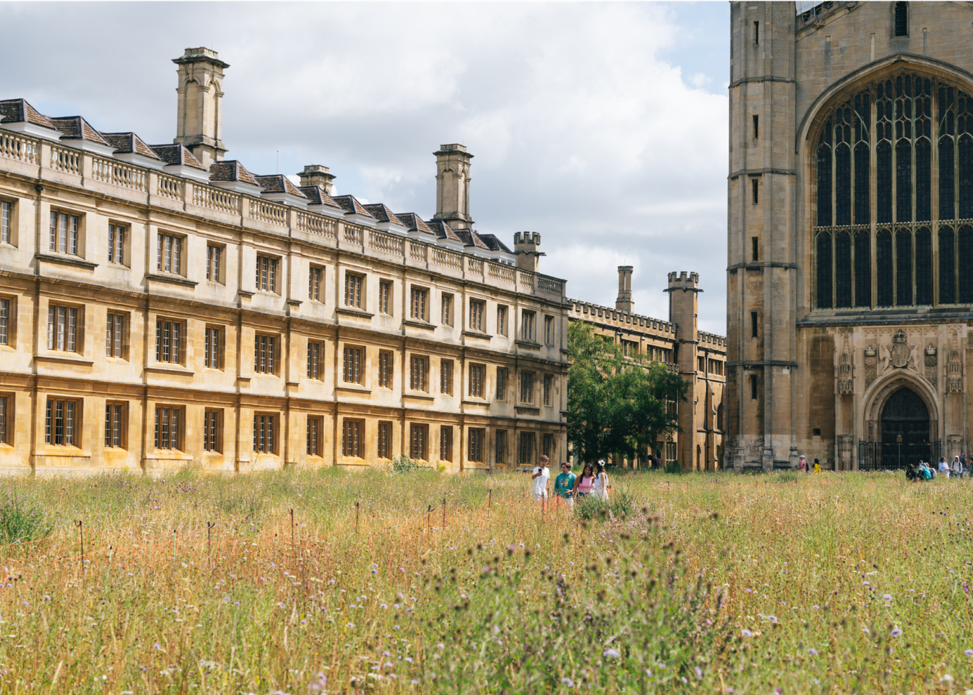 University Of Cambridge