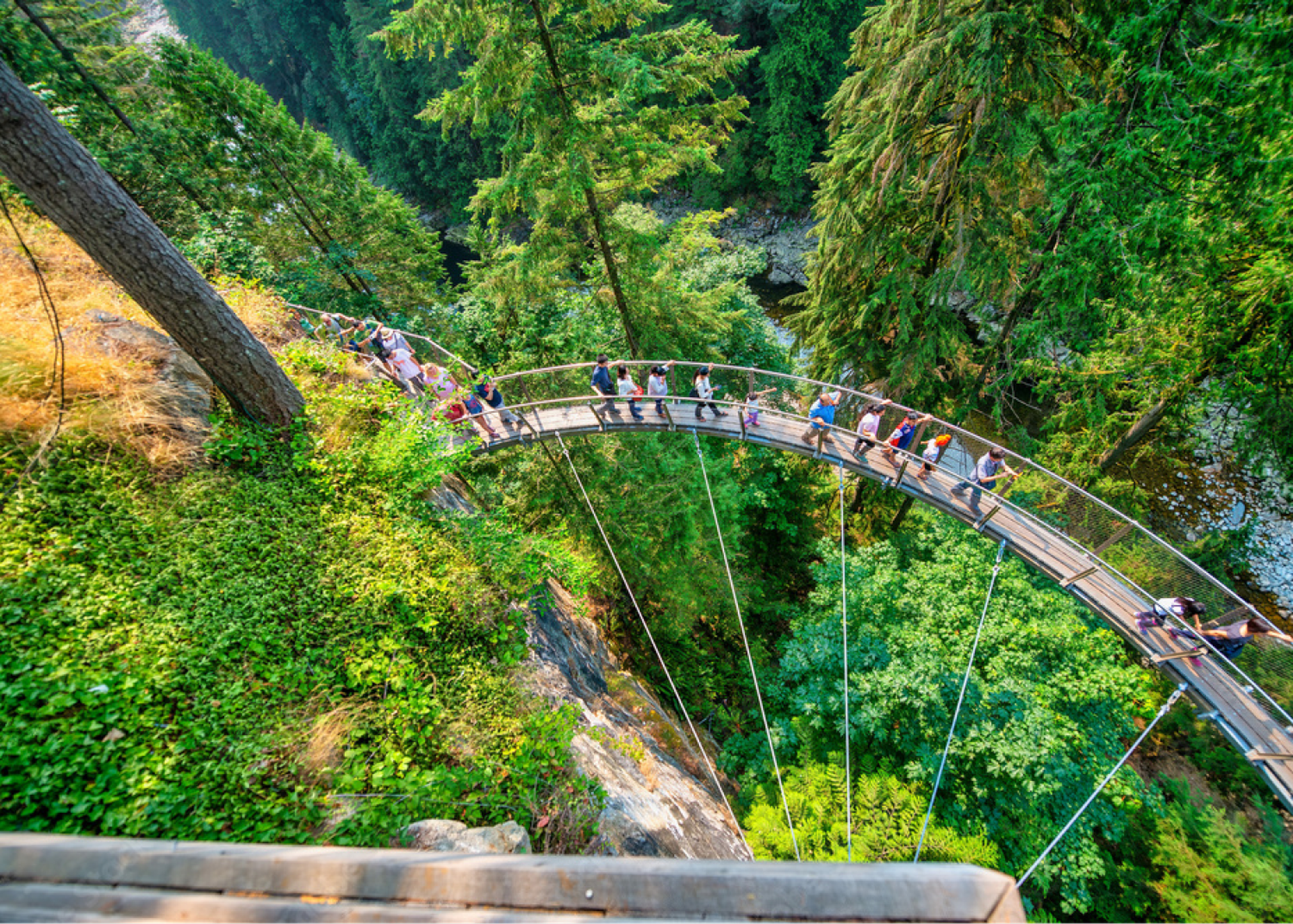 Capilano Suspension Bridge Park