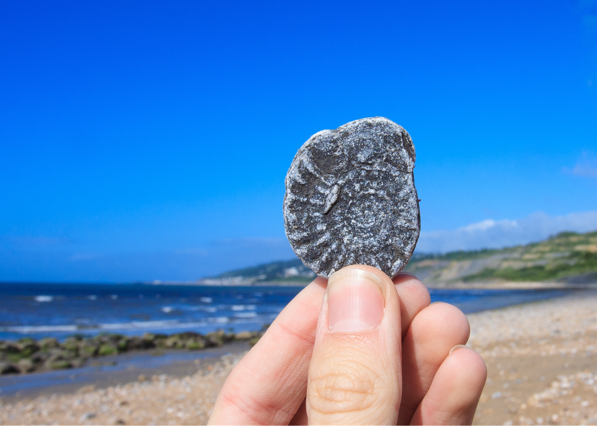 Fossil Hunting