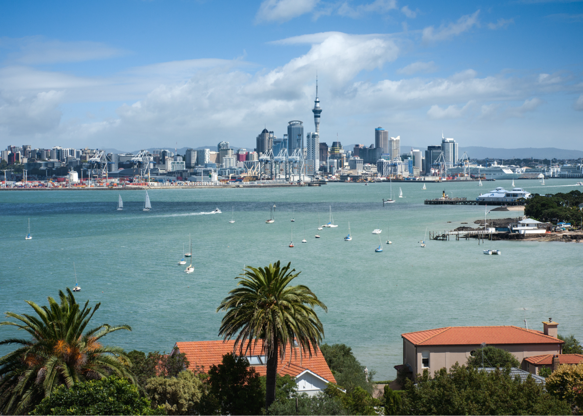 Devonport Auckland Skyline