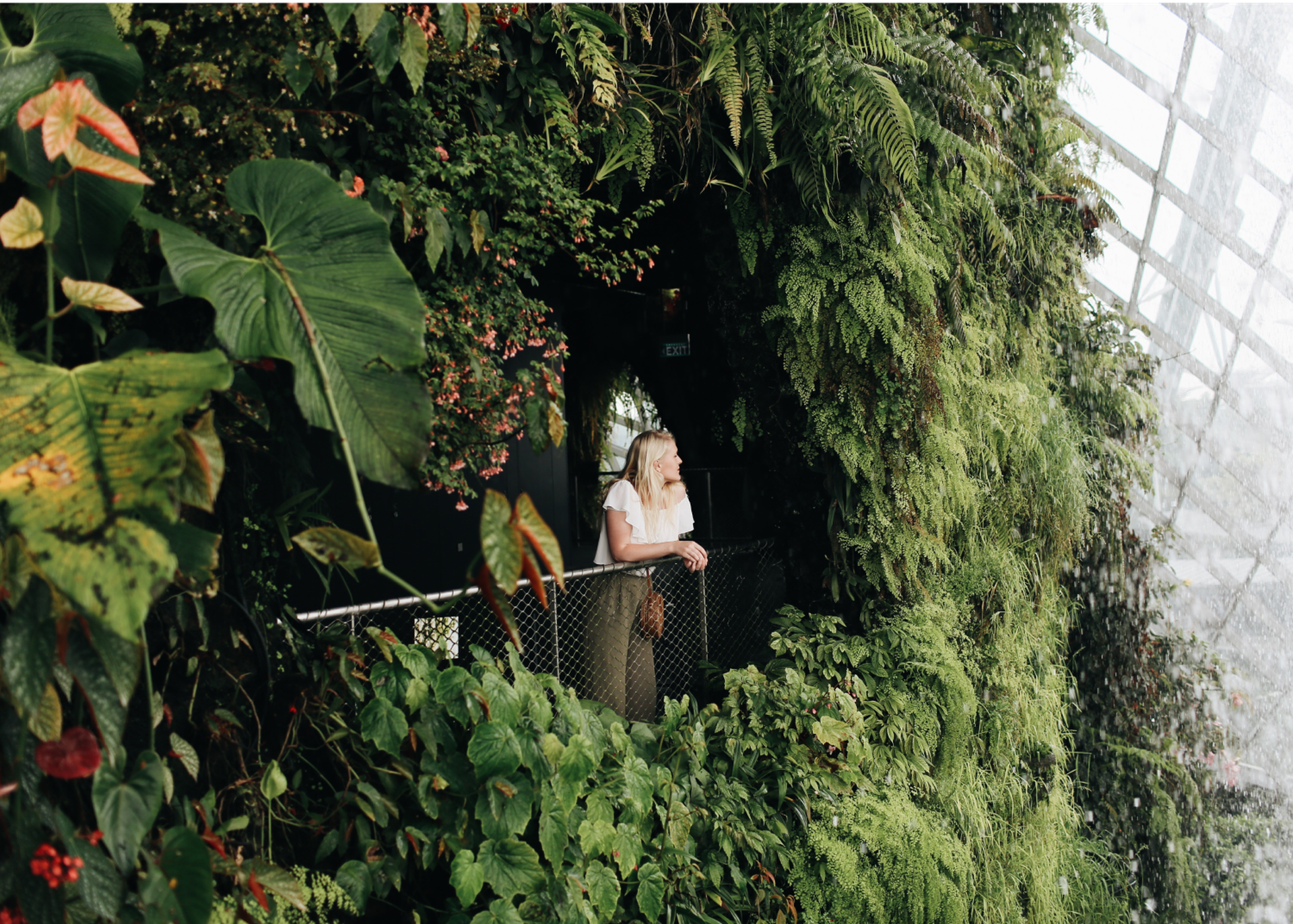 Supertree Grove