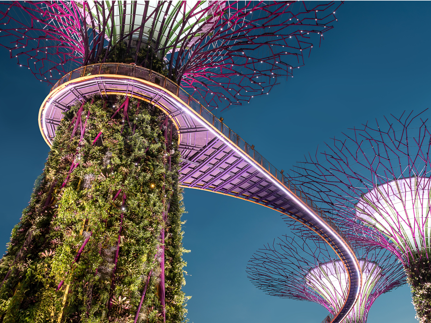 Supertree Grove
