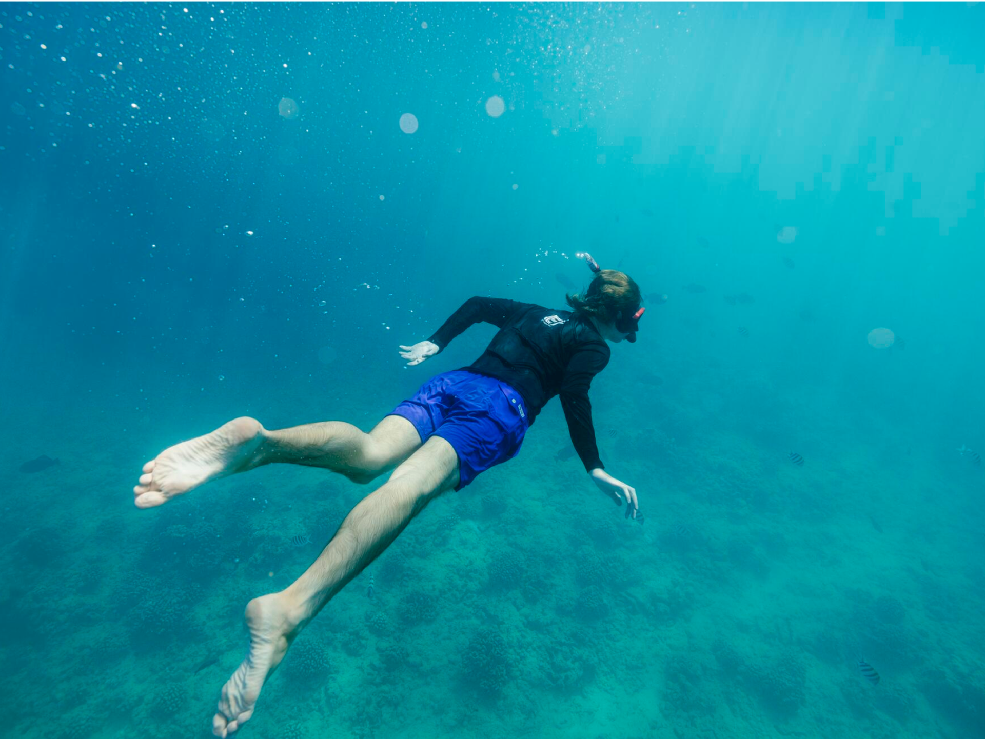 Student Diving