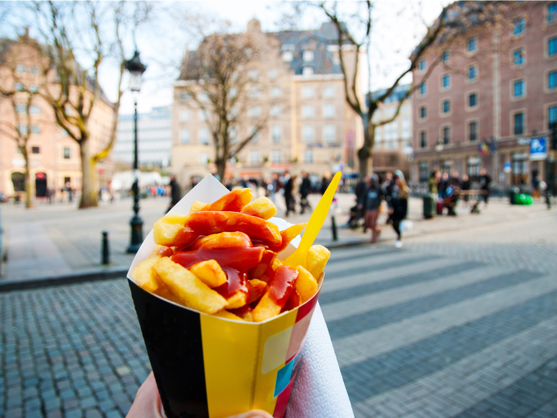 Belgium French Fries