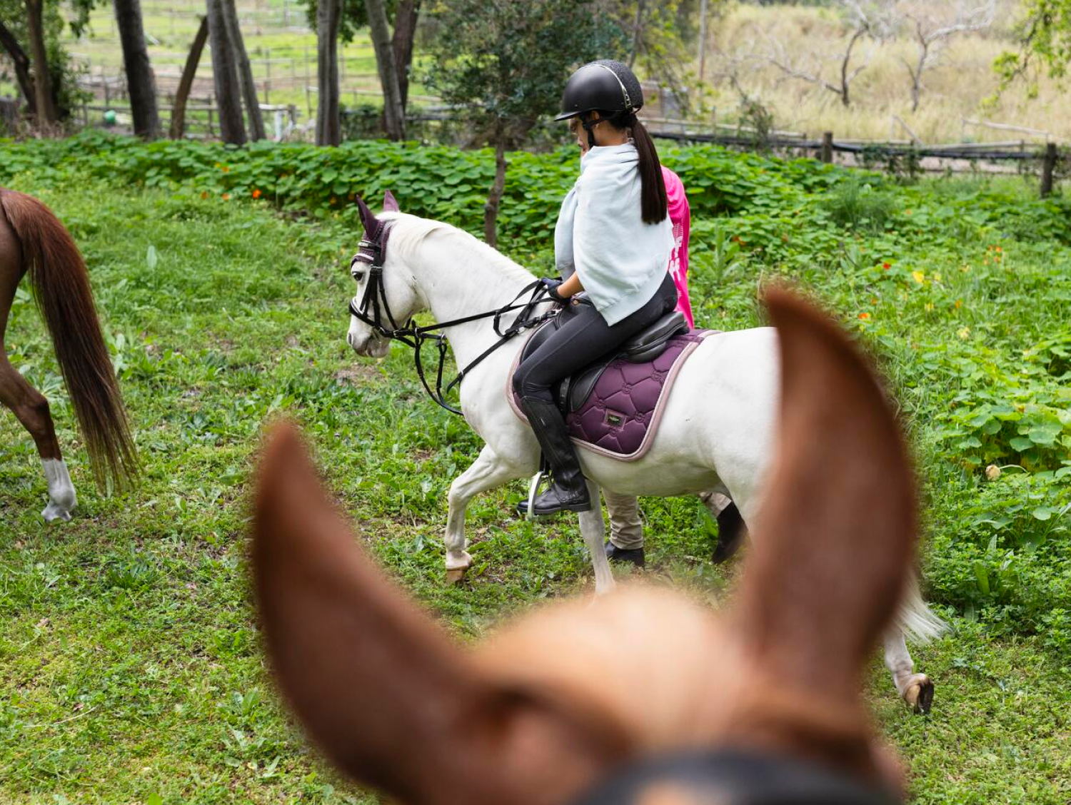 Montar a caballo