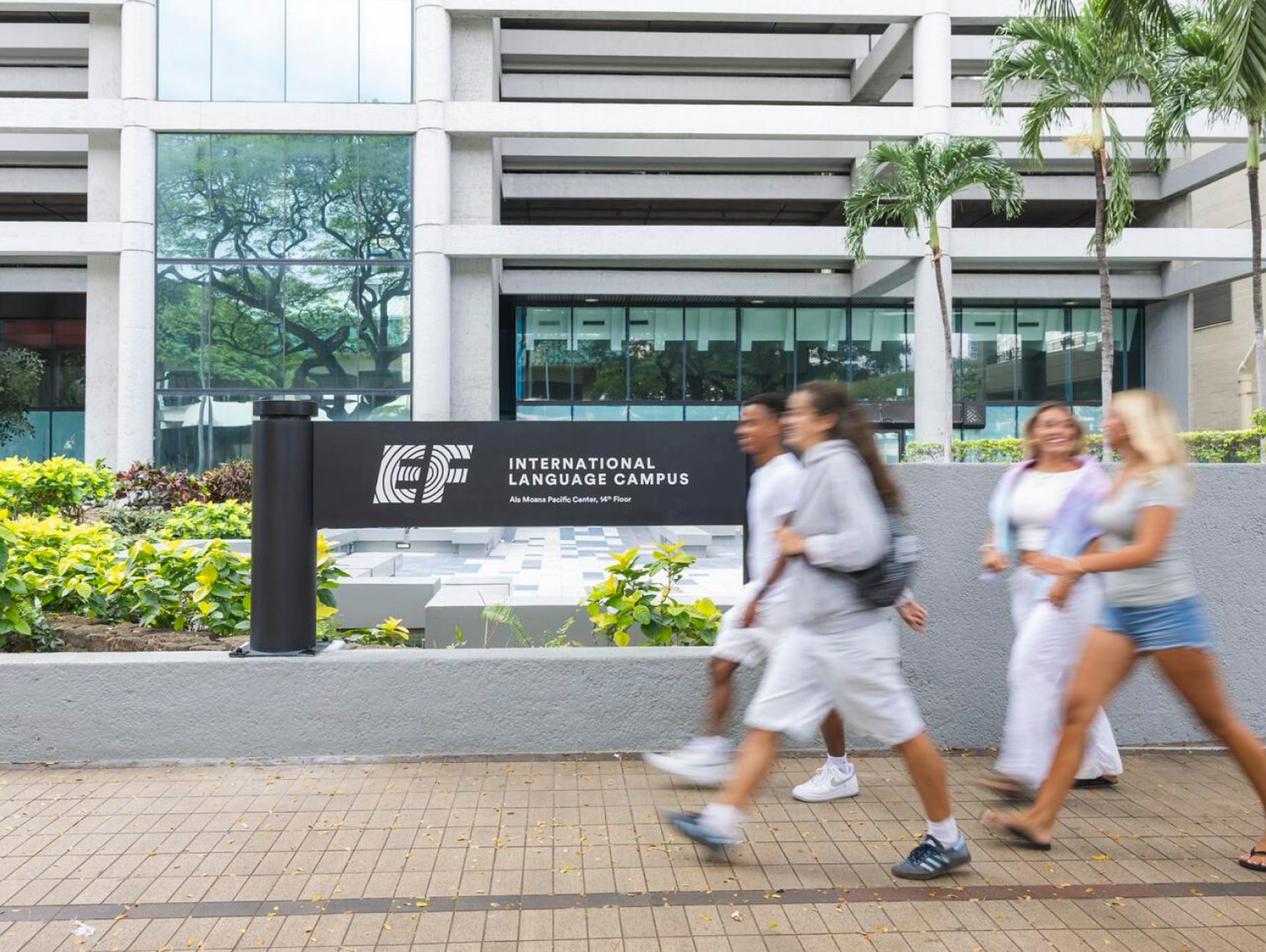 Students Walking At Entrance