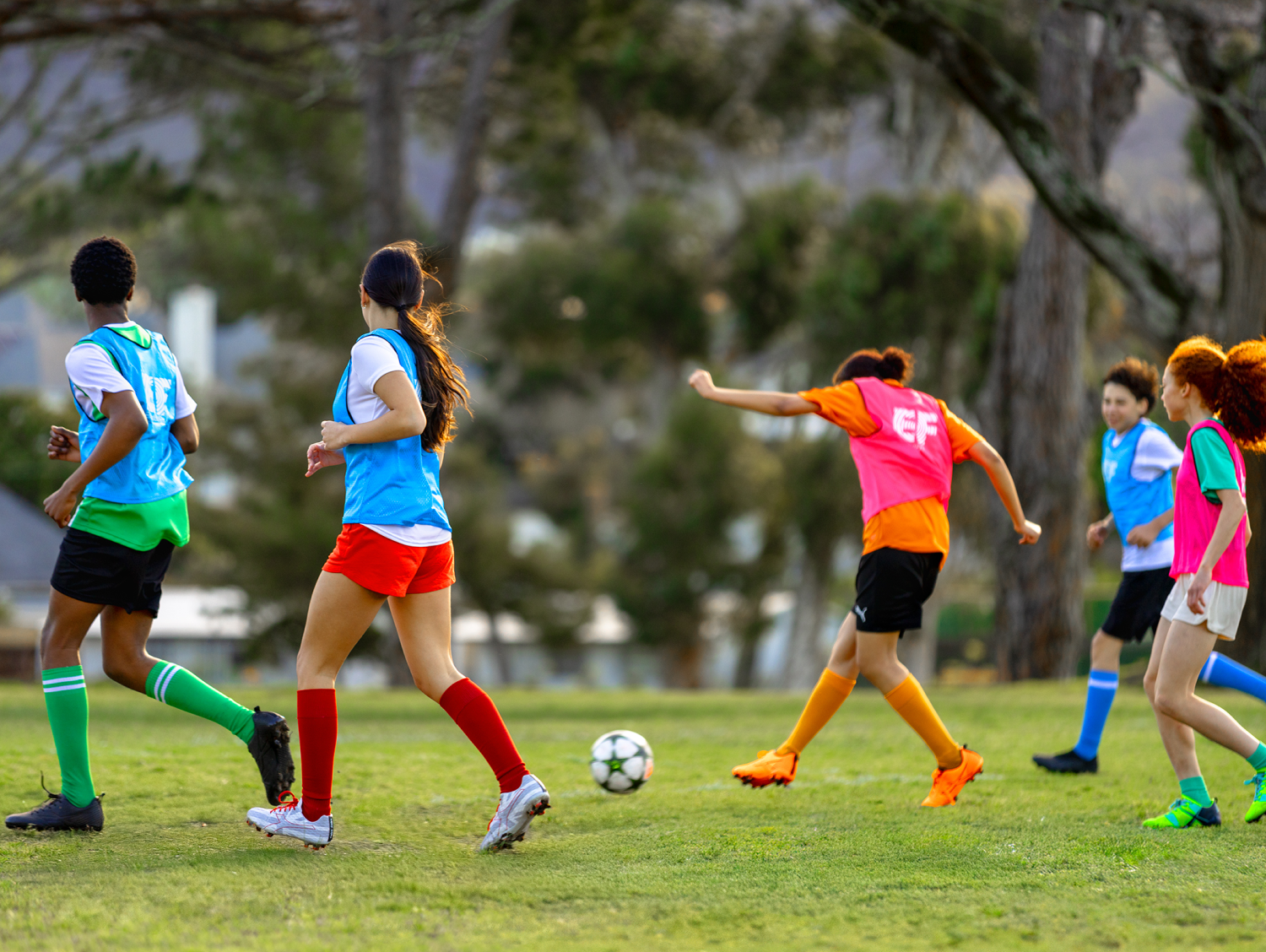 языковые курсы в германии