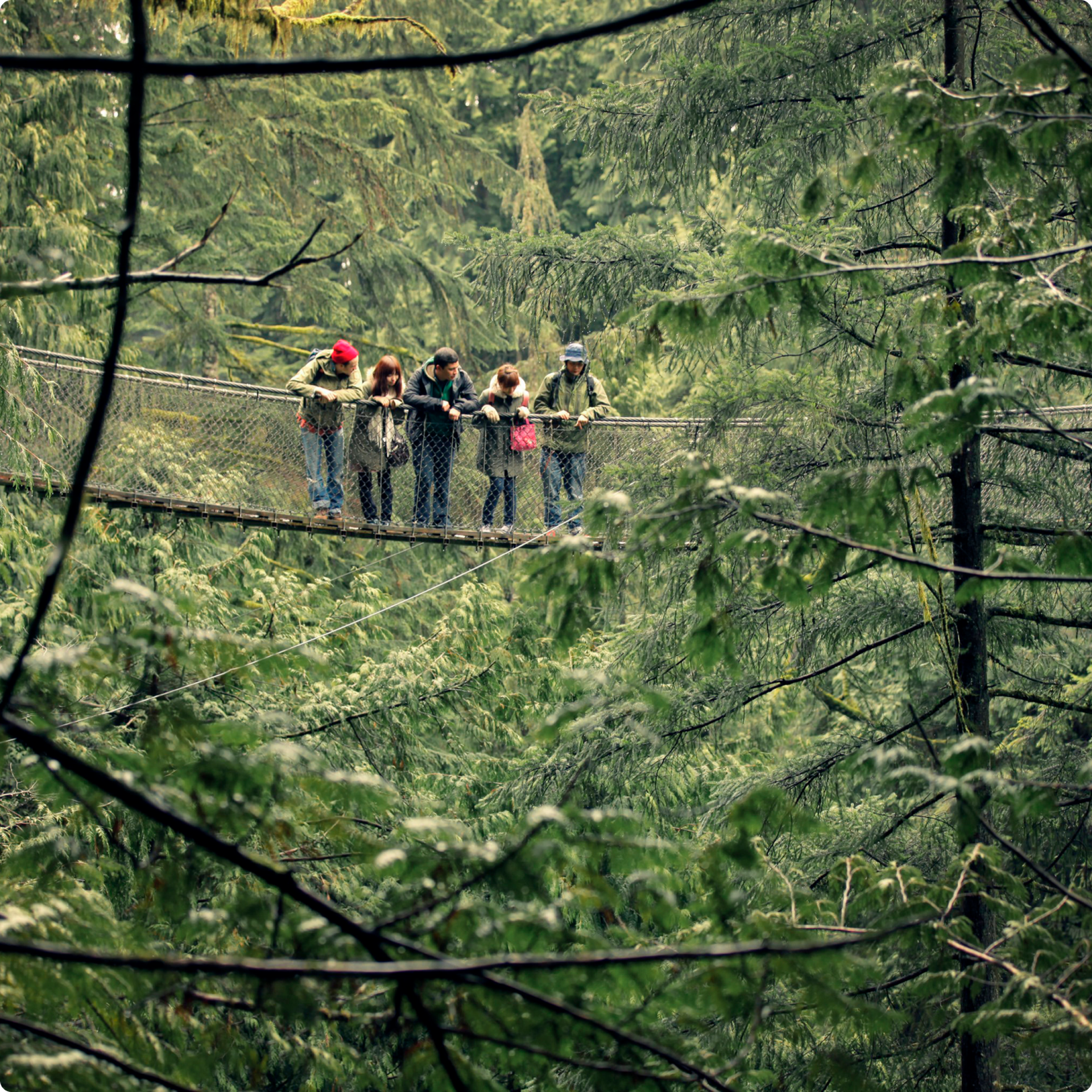 Canopy Walk
