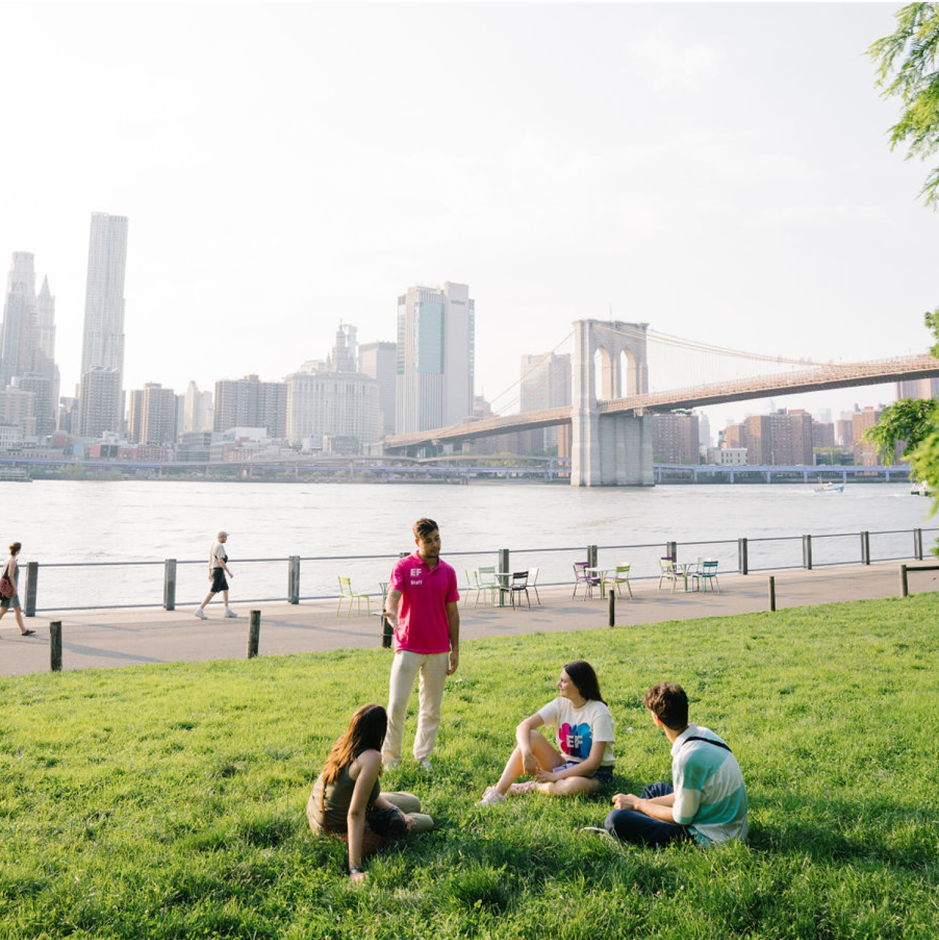 Estudiantes sentados en el césped